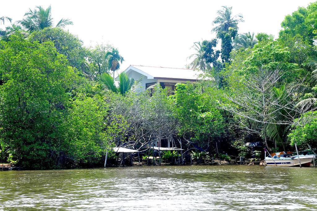 Little Swan Guest House Bentota Buitenkant foto