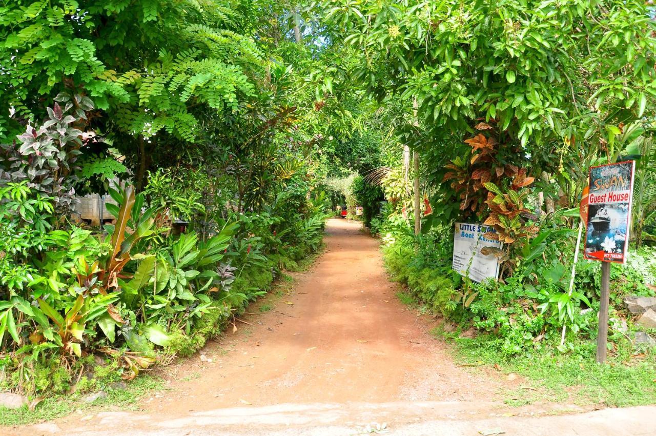 Little Swan Guest House Bentota Buitenkant foto